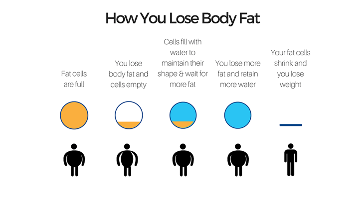 why-am-i-not-losing-weight-and-what-can-i-do-about-it-infographic